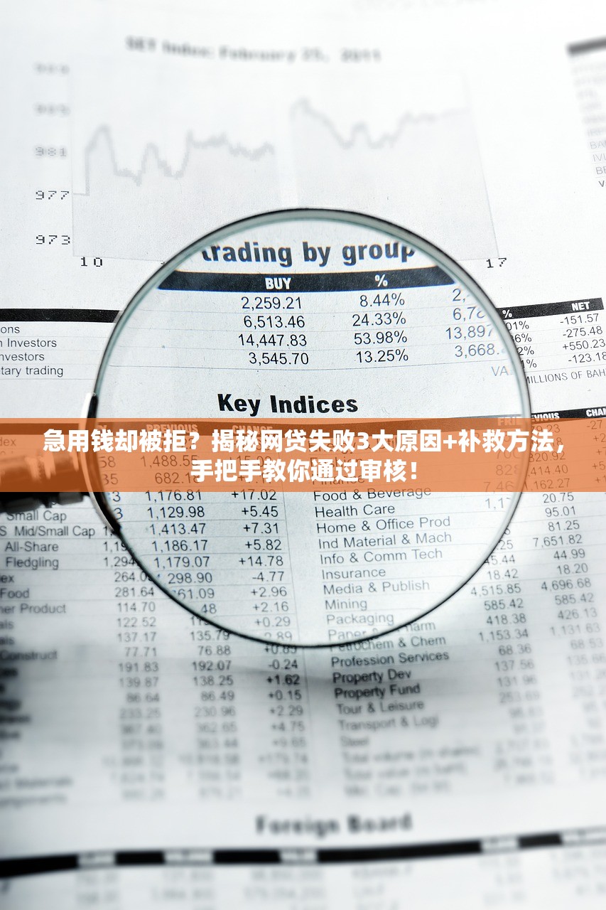 急用钱却被拒？揭秘网贷失败3大原因+补救方法，手把手教你通过审核！