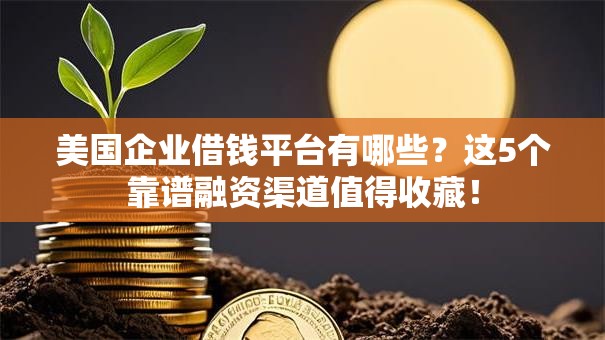 美国企业借钱平台有哪些?这5个靠谱融资渠道值得收藏! 美国企业借钱平台有哪些?这5个靠谱融资渠道值得收藏!
