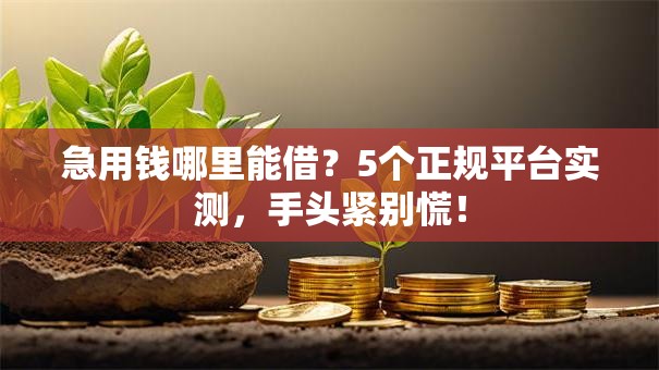 急用钱哪里能借？5个正规平台实测，手头紧别慌！