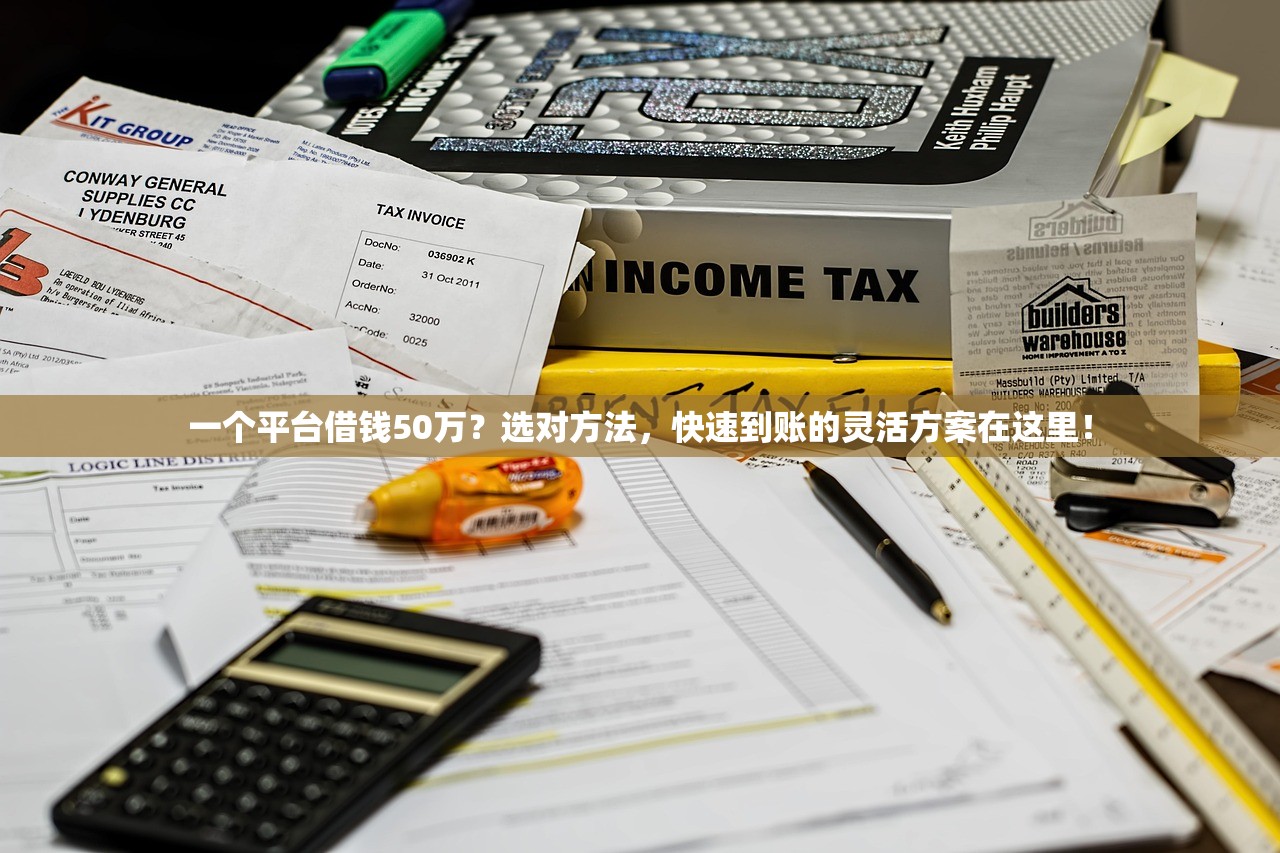 一个平台借钱50万?选对方法,快速到账的灵活方案在这里! 一个平台借钱50万?选对方法,快速到账的灵活方案在这里!