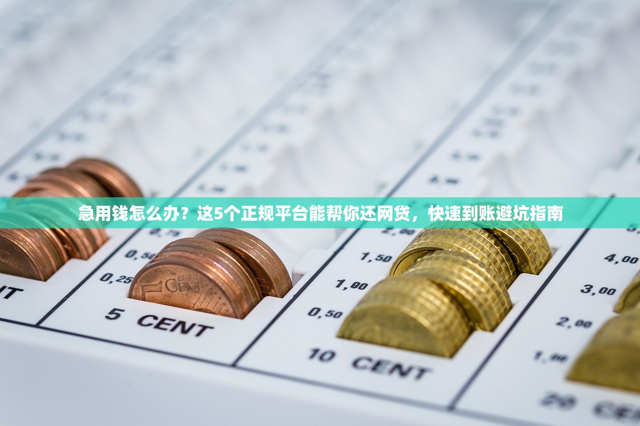 急用钱怎么办？这5个正规平台能帮你还网贷，快速到账避坑指南