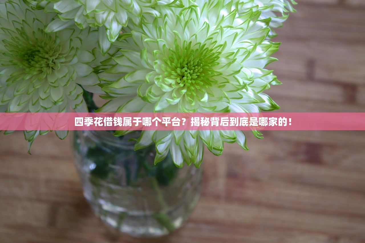 四季花借钱属于哪个平台?揭秘背后到底是哪家的! 四季花借钱属于哪个平台?揭秘背后到底是哪家的!