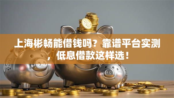 上海彬畅能借钱吗？靠谱平台实测，低息借款这样选！