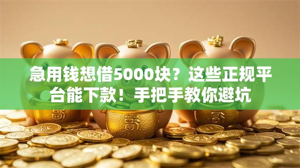 急用钱想借5000块？这些正规平台能下款！手把手教你避坑