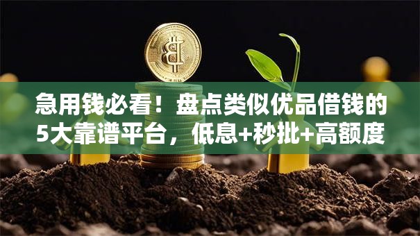 急用钱必看！盘点类似优品借钱的5大靠谱平台，低息+秒批+高额度