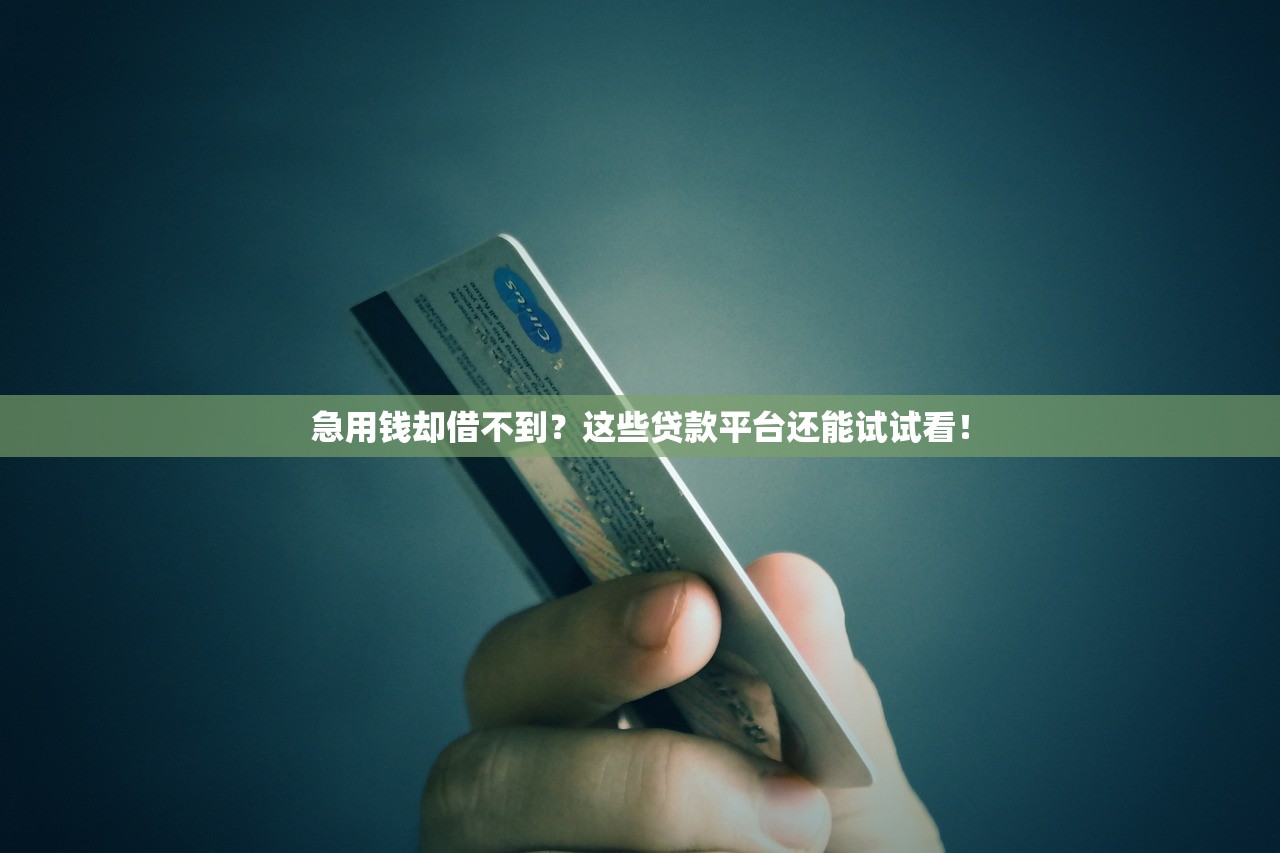 急用钱却借不到？这些贷款平台还能试试看！