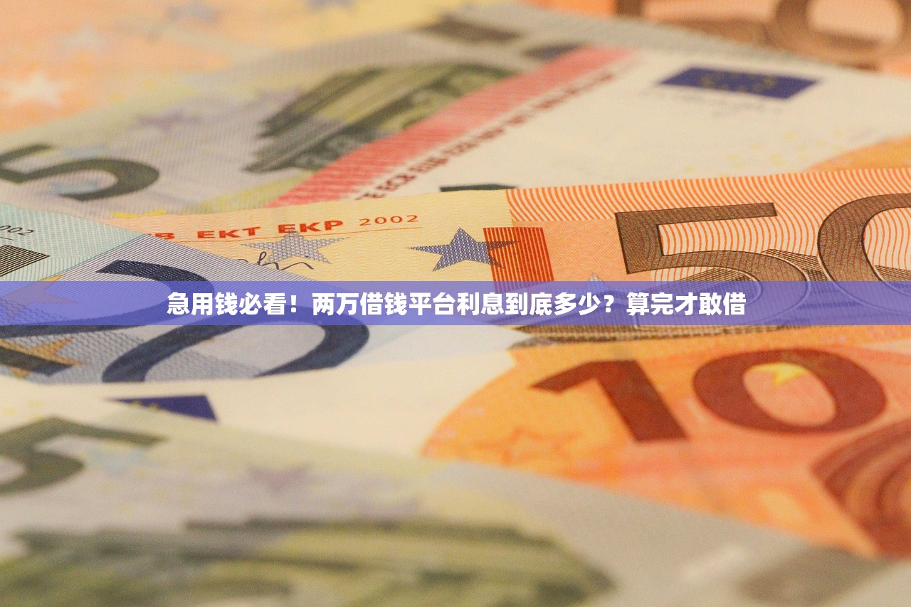 急用钱必看！两万借钱平台利息到底多少？算完才敢借