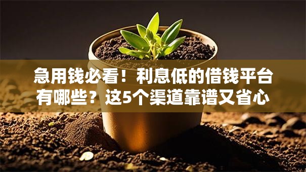 急用钱必看！利息低的借钱平台有哪些？这5个渠道靠谱又省心