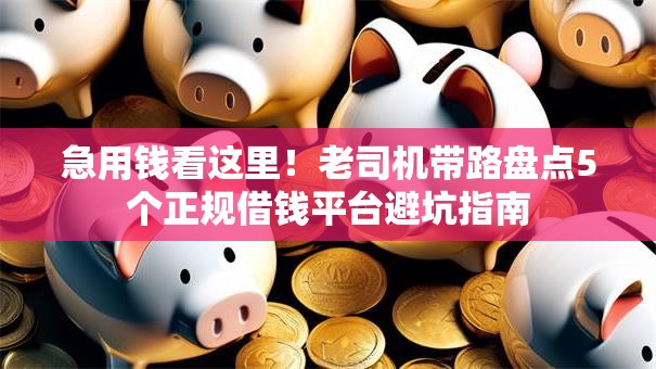 急用钱看这里!老司机带路盘点5个正规借钱平台避坑指南 急用钱看这里!老司机带路盘点5个正规借钱平台避坑指南