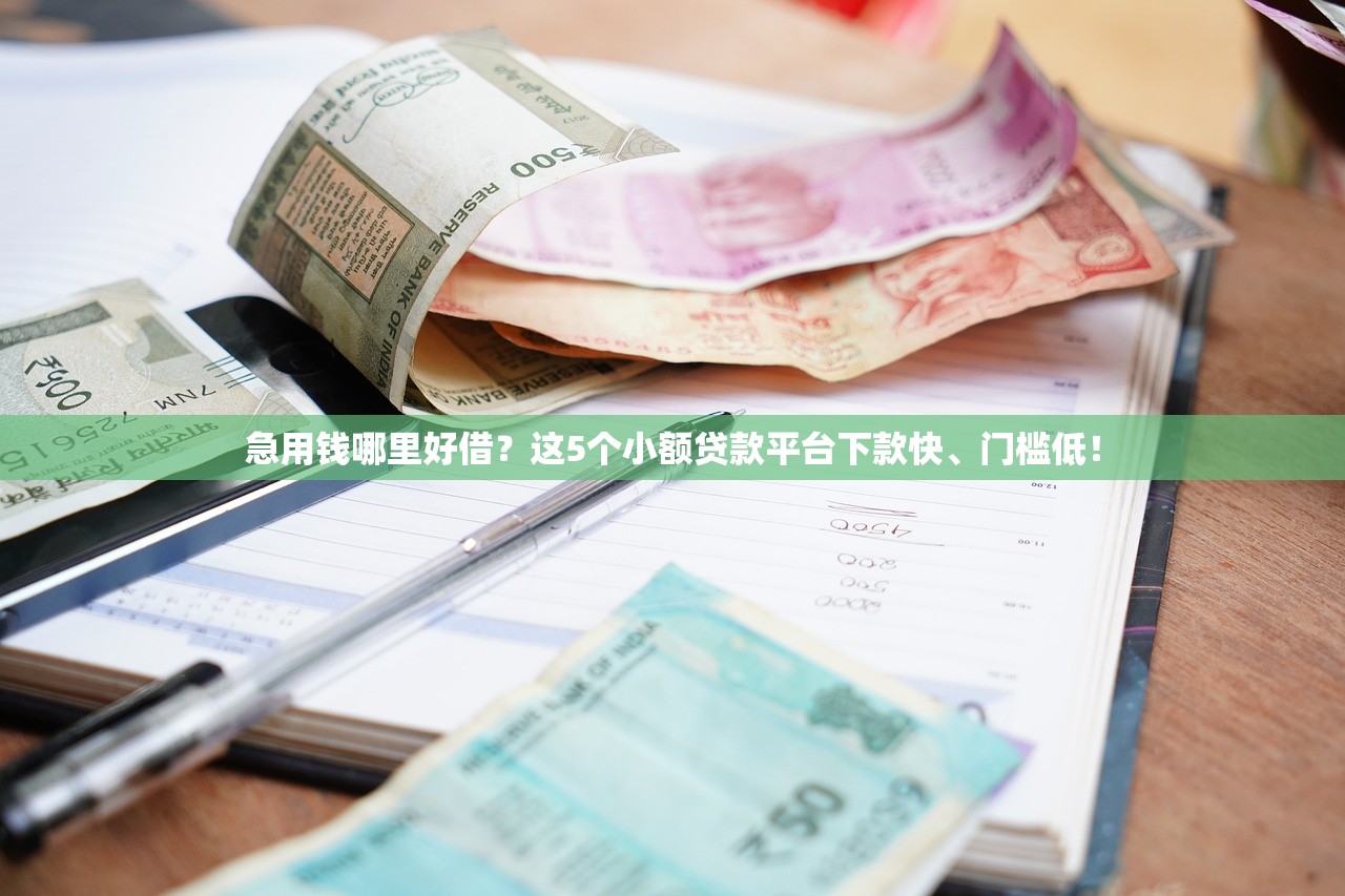 急用钱哪里好借？这5个小额贷款平台下款快、门槛低！