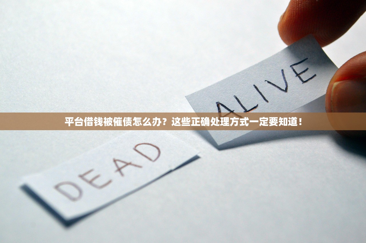 平台借钱被催债怎么办？这些正确处理方式一定要知道！