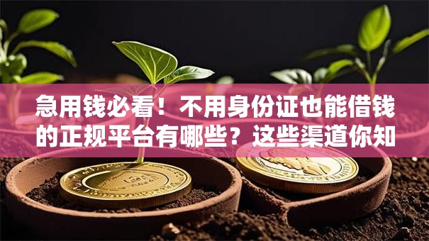 急用钱必看！不用身份证也能借钱的正规平台有哪些？这些渠道你知道吗？