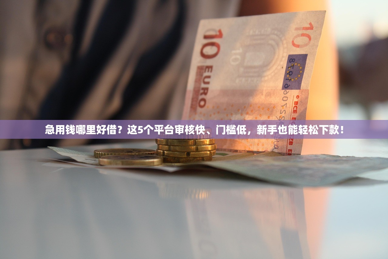 急用钱哪里好借？这5个平台审核快、门槛低，新手也能轻松下款！