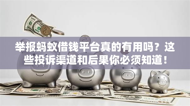 举报蚂蚁借钱平台真的有用吗？这些投诉渠道和后果你必须知道！