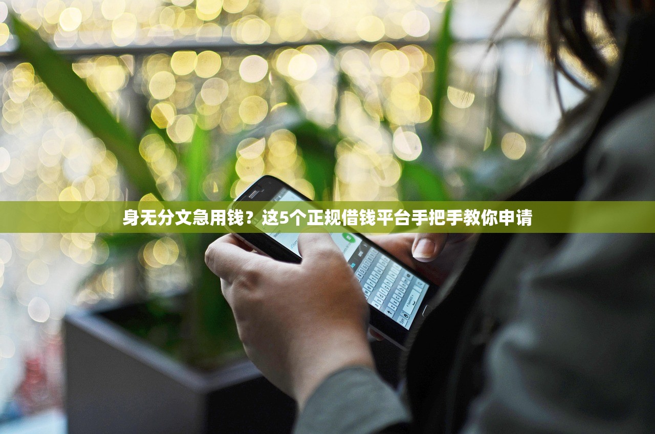 身无分文急用钱?这5个正规借钱平台手把手教你申请 身无分文急用钱?这5个正规借钱平台手把手教你申请