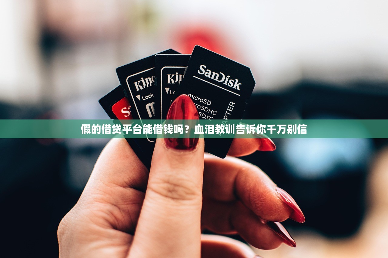 假的借贷平台能借钱吗？血泪教训告诉你千万别信