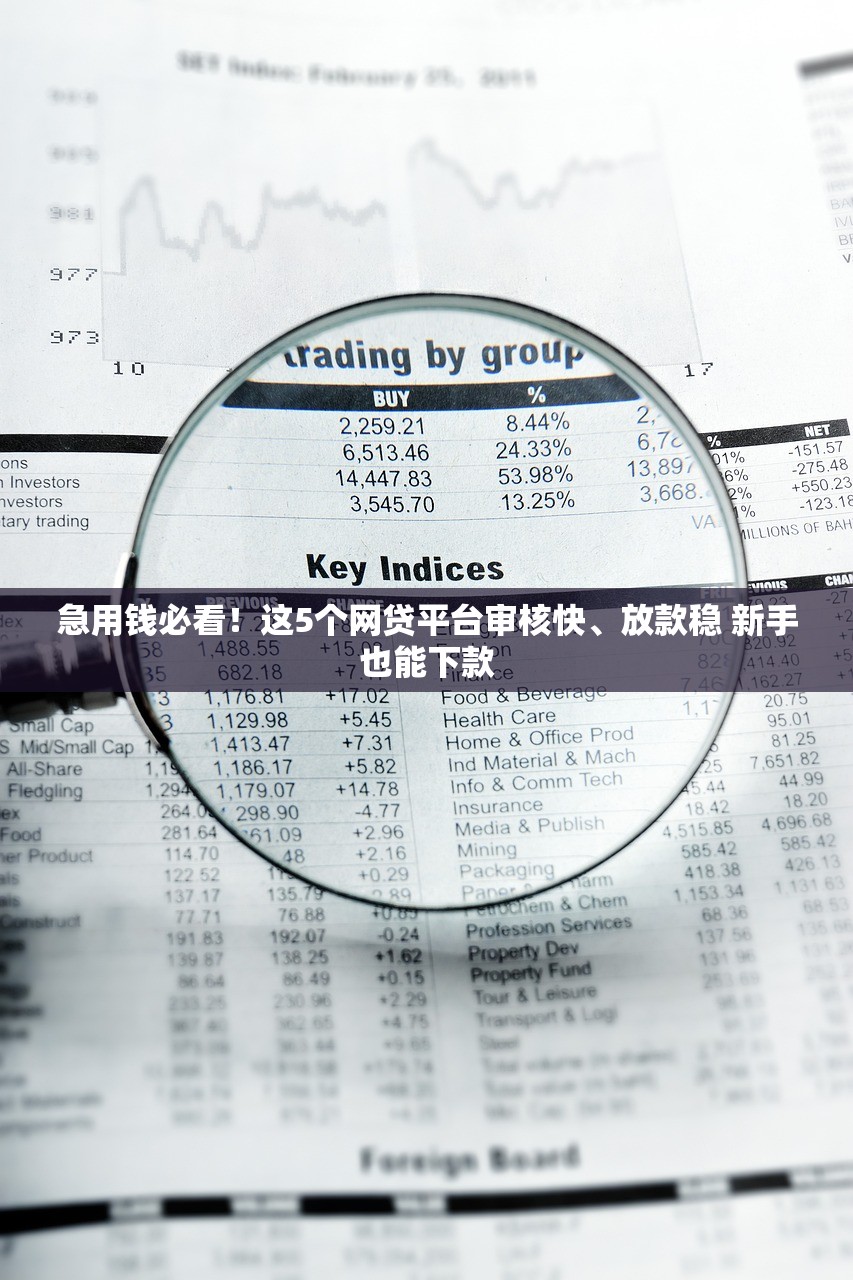急用钱必看！这5个网贷平台审核快、放款稳 新手也能下款