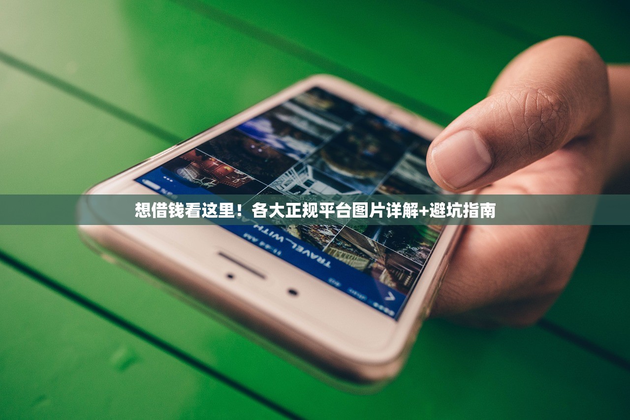 想借钱看这里！各大正规平台图片详解+避坑指南