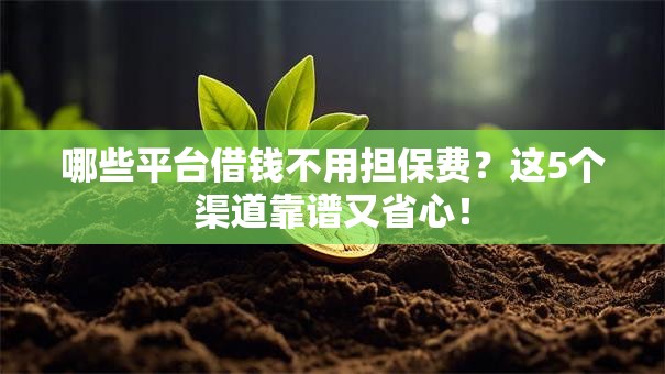 哪些平台借钱不用担保费？这5个渠道靠谱又省心！