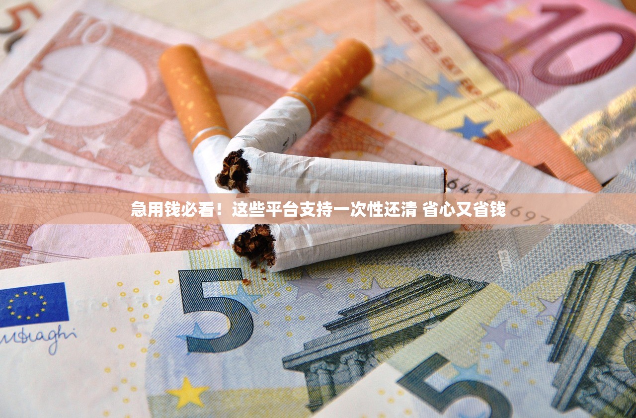 急用钱必看！这些平台支持一次性还清 省心又省钱