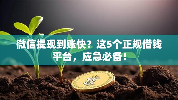 微信提现到账快？这5个正规借钱平台，应急必备！