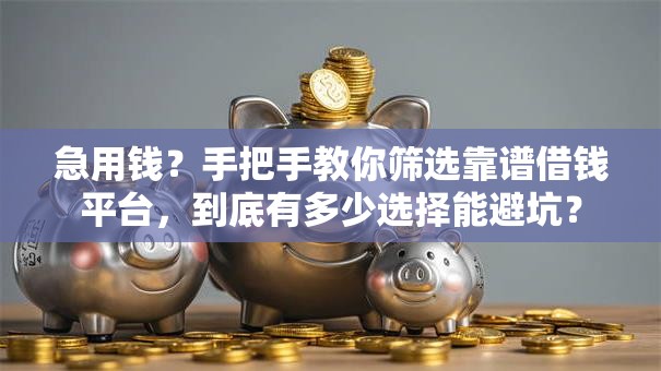 急用钱？手把手教你筛选靠谱借钱平台，到底有多少选择能避坑？
