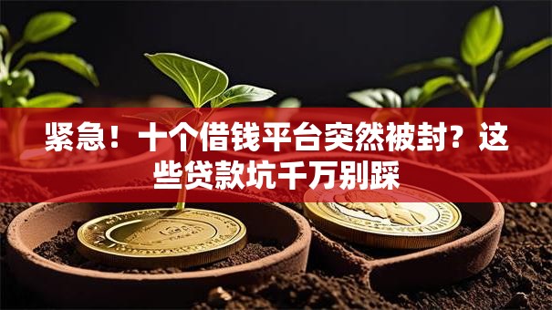紧急！十个借钱平台突然被封？这些贷款坑千万别踩
