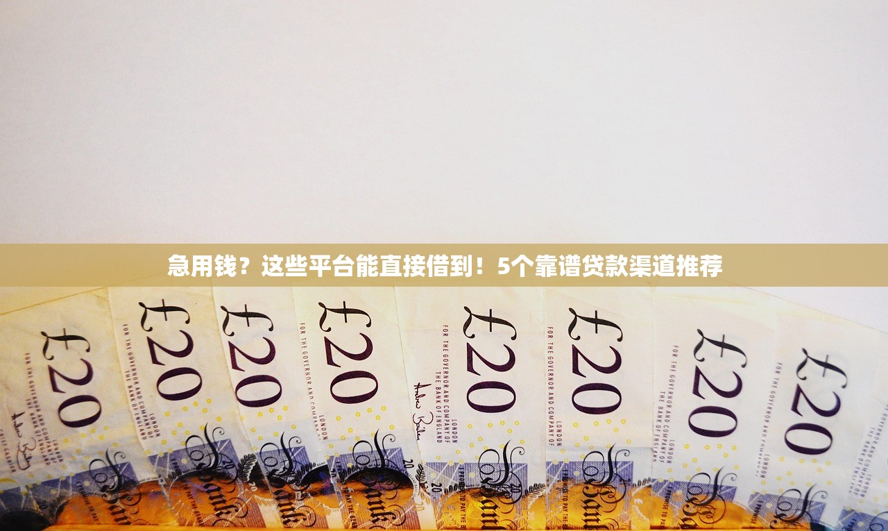 急用钱？这些平台能直接借到！5个靠谱贷款渠道推荐
