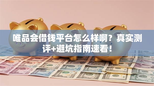 唯品会借钱平台怎么样啊？真实测评+避坑指南速看！