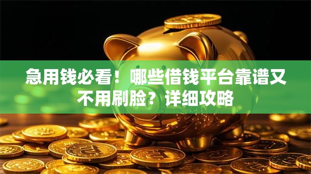 急用钱必看！哪些借钱平台靠谱又不用刷脸？详细攻略