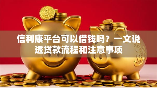 信利康平台可以借钱吗？一文说透贷款流程和注意事项
