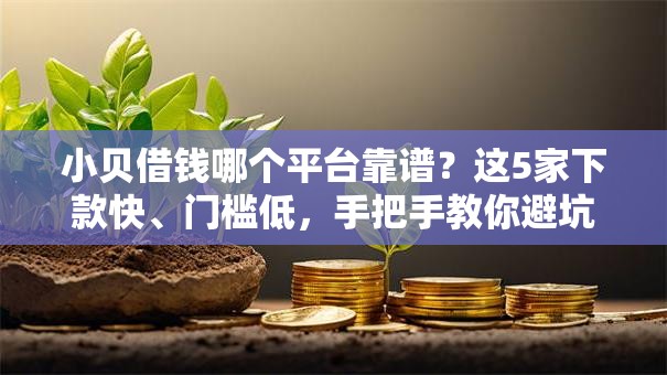 小贝借钱哪个平台靠谱？这5家下款快、门槛低，手把手教你避坑！