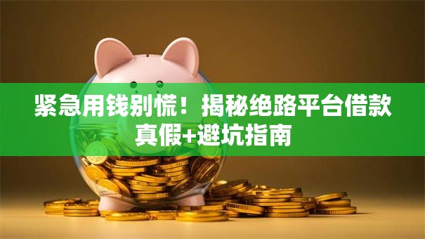 紧急用钱别慌！揭秘绝路平台借款真假+避坑指南