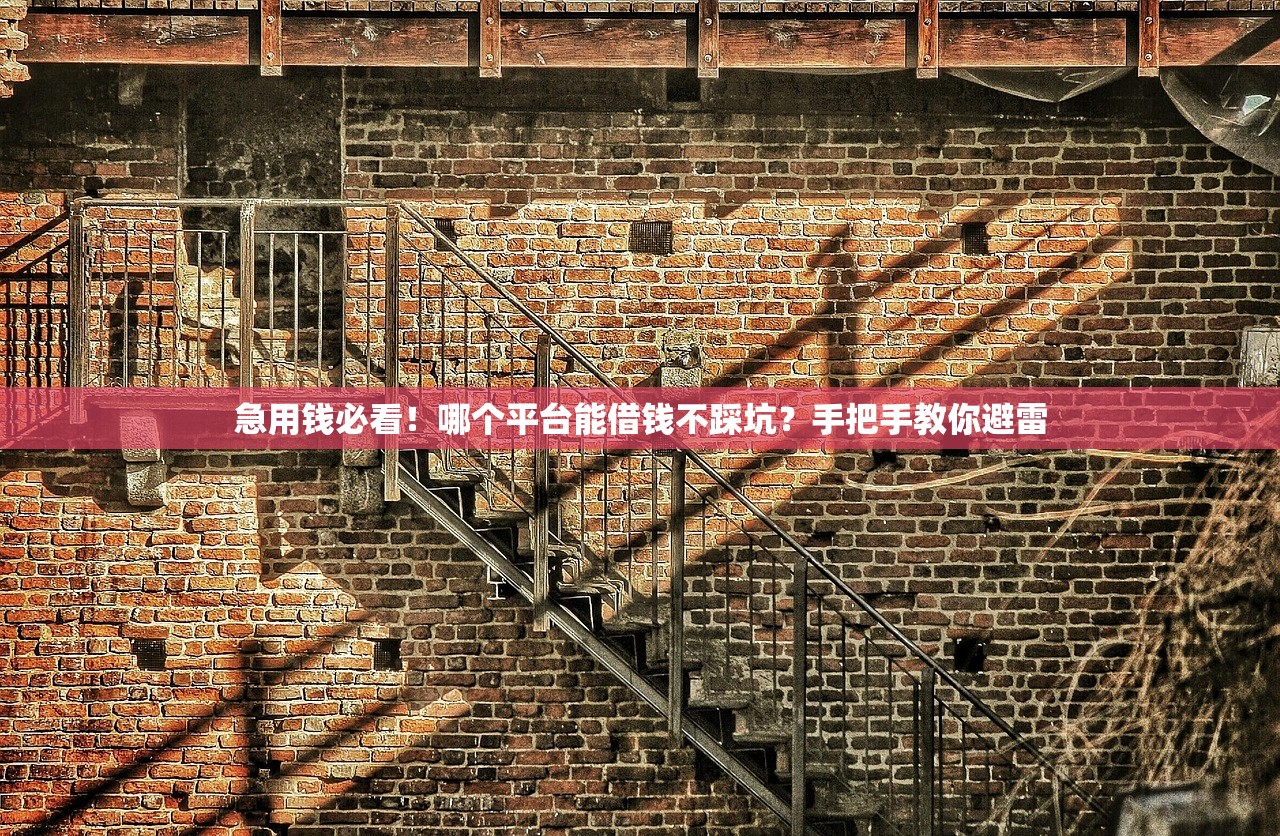 急用钱必看！哪个平台能借钱不踩坑？手把手教你避雷