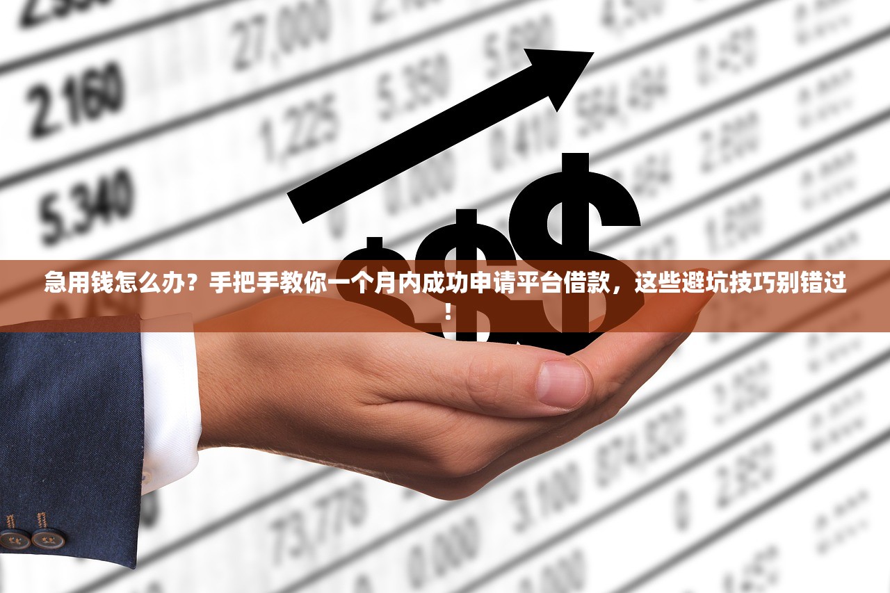 急用钱怎么办？手把手教你一个月内成功申请平台借款，这些避坑技巧别错过！