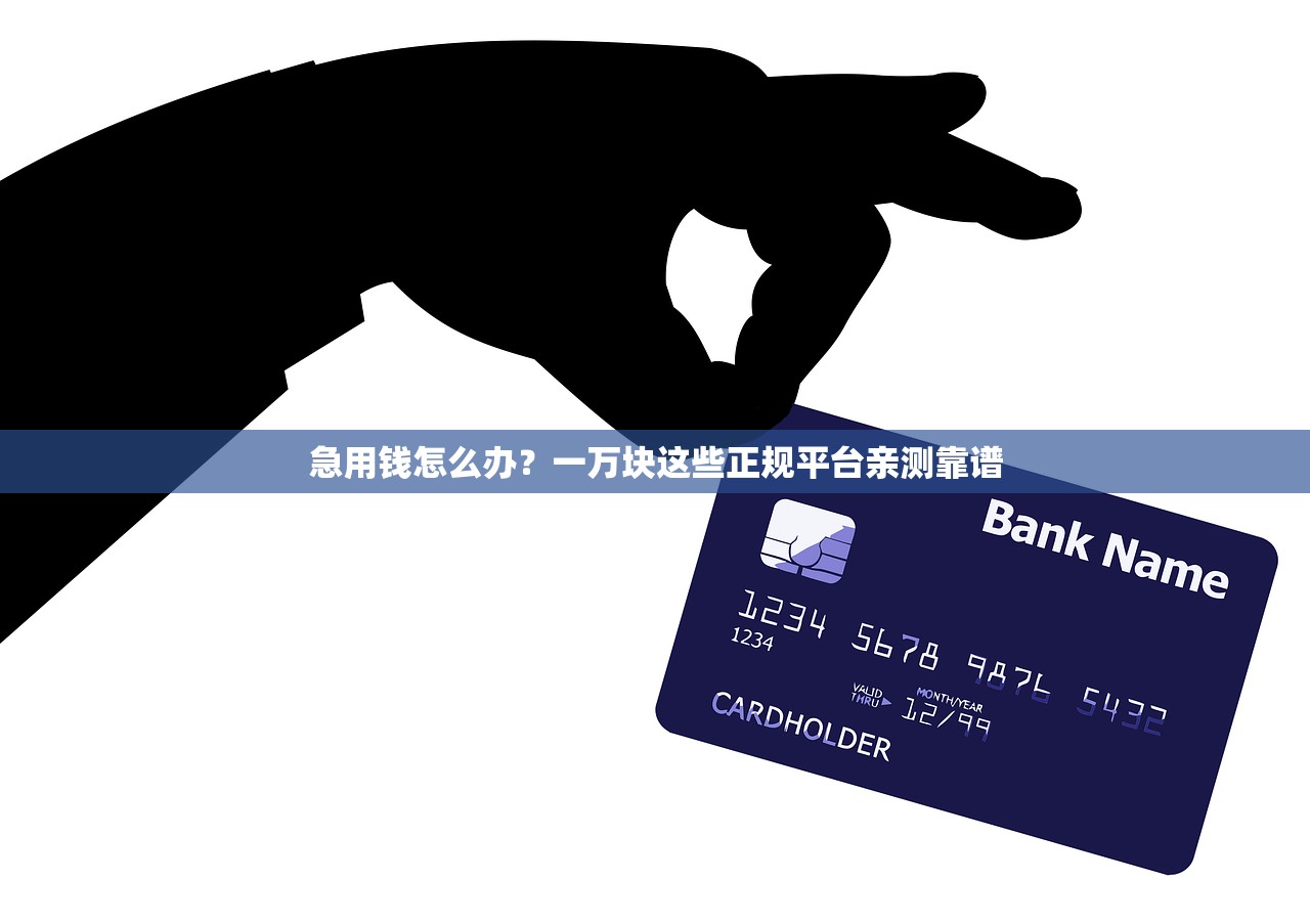 急用钱怎么办？一万块这些正规平台亲测靠谱