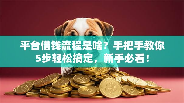 平台借钱流程是啥？手把手教你5步轻松搞定，新手必看！