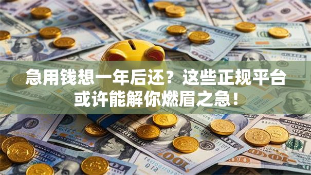 急用钱想一年后还？这些正规平台或许能解你燃眉之急！