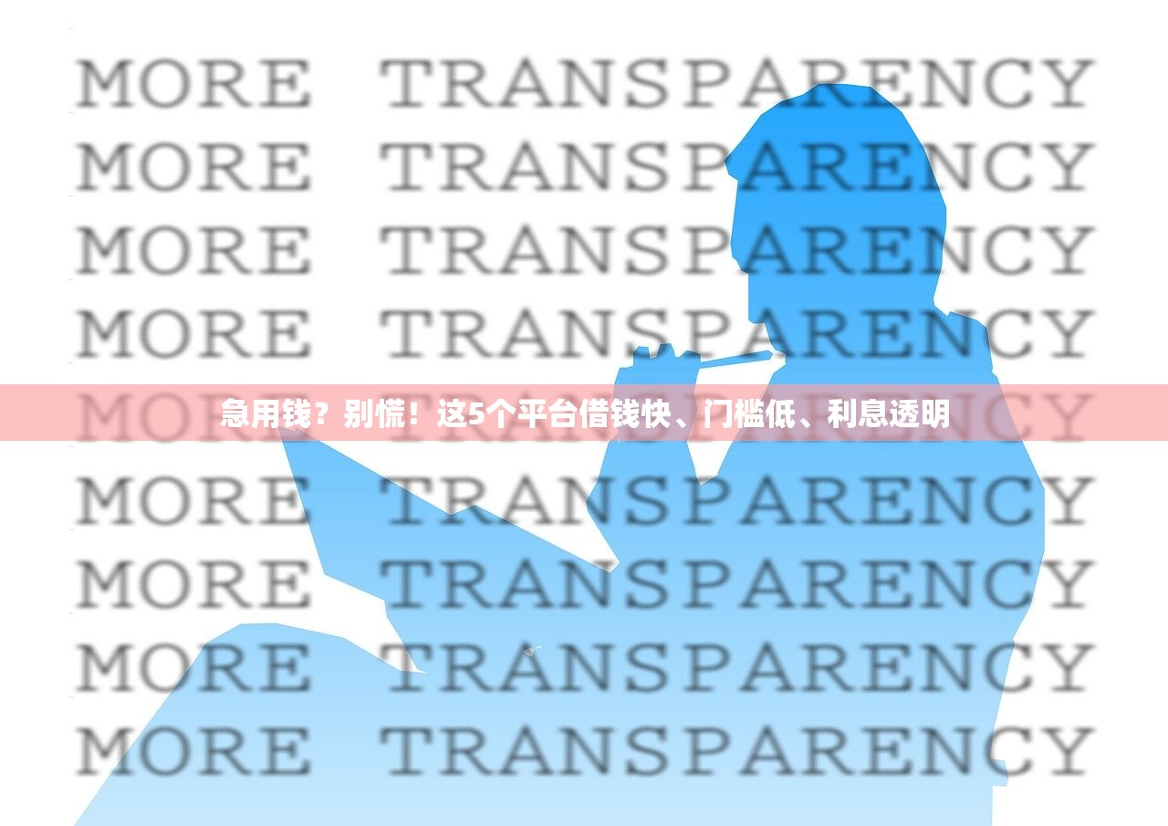 急用钱？别慌！这5个平台借钱快、门槛低、利息透明