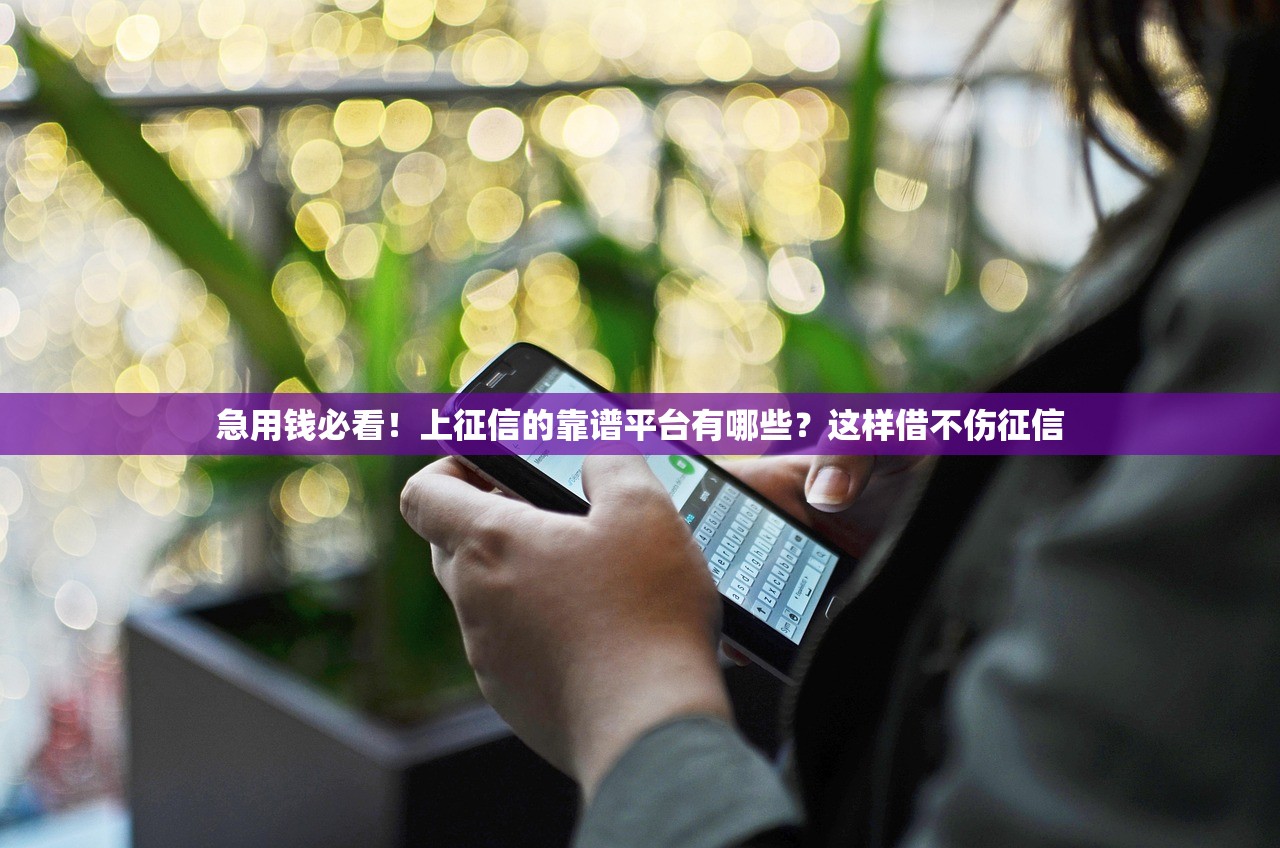 急用钱必看!上征信的靠谱平台有哪些?这样借不伤征信 急用钱必看!上征信的靠谱平台有哪些?这样借不伤征信