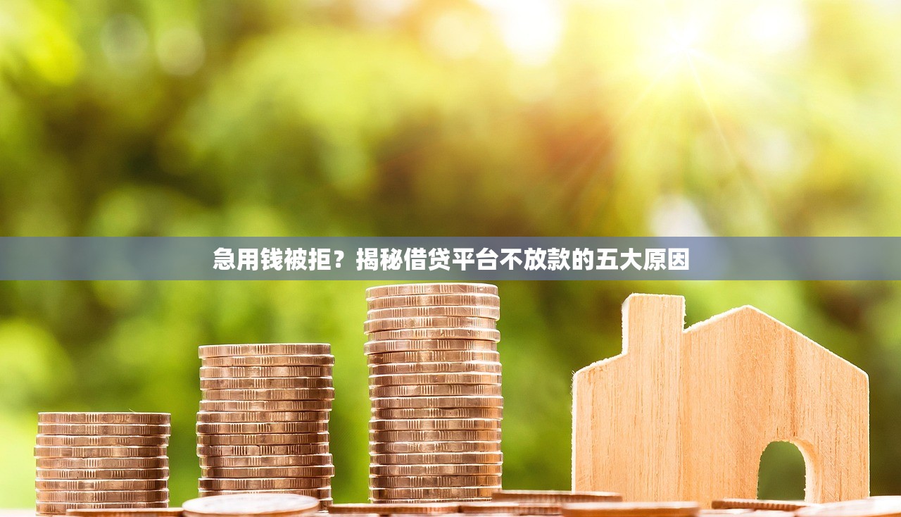 急用钱被拒?揭秘借贷平台不放款的五大原因 急用钱被拒?揭秘借贷平台不放款的五大原因