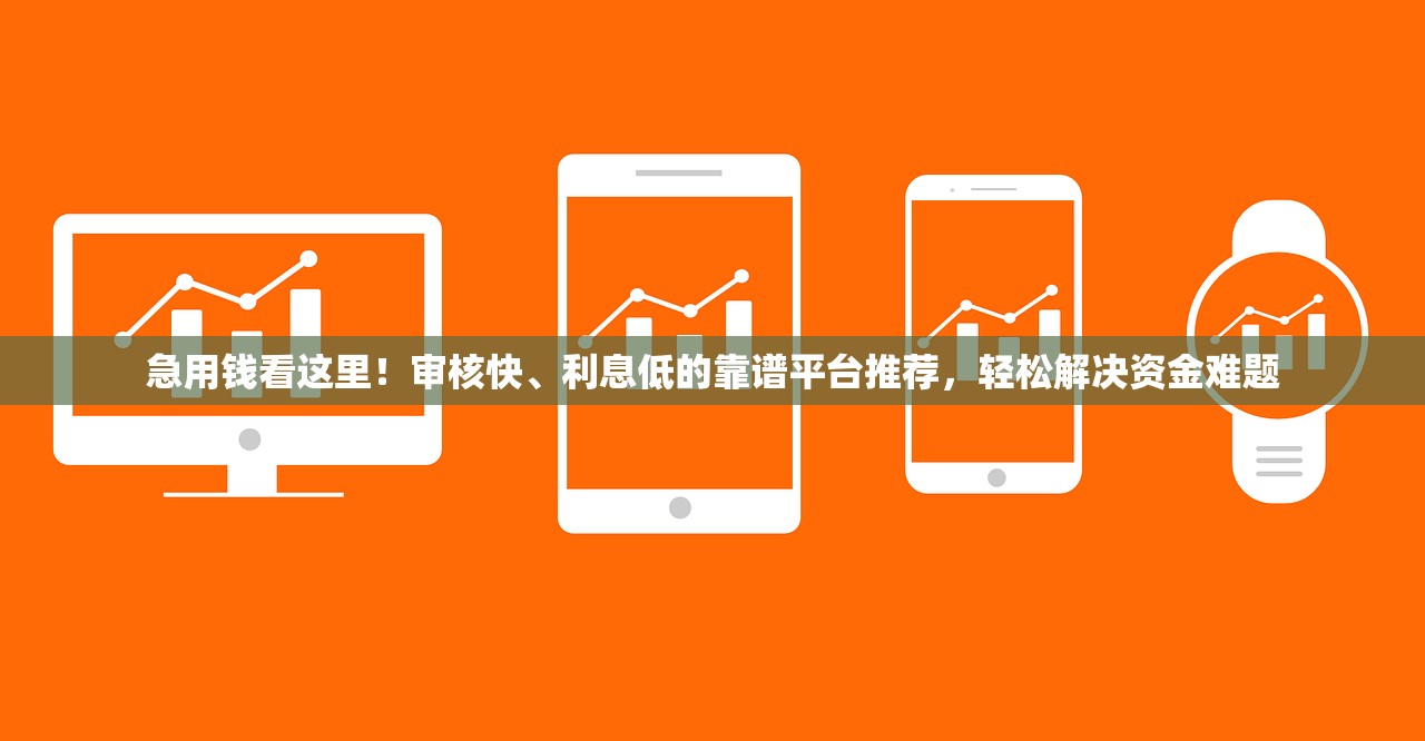急用钱看这里！审核快、利息低的靠谱平台推荐，轻松解决资金难题