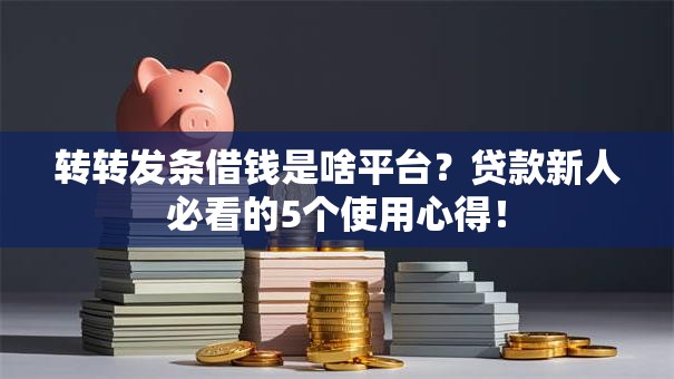转转发条借钱是啥平台？贷款新人必看的5个使用心得！