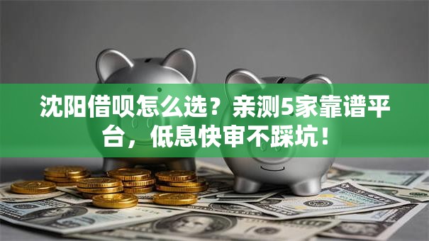 沈阳借呗怎么选？亲测5家靠谱平台，低息快审不踩坑！