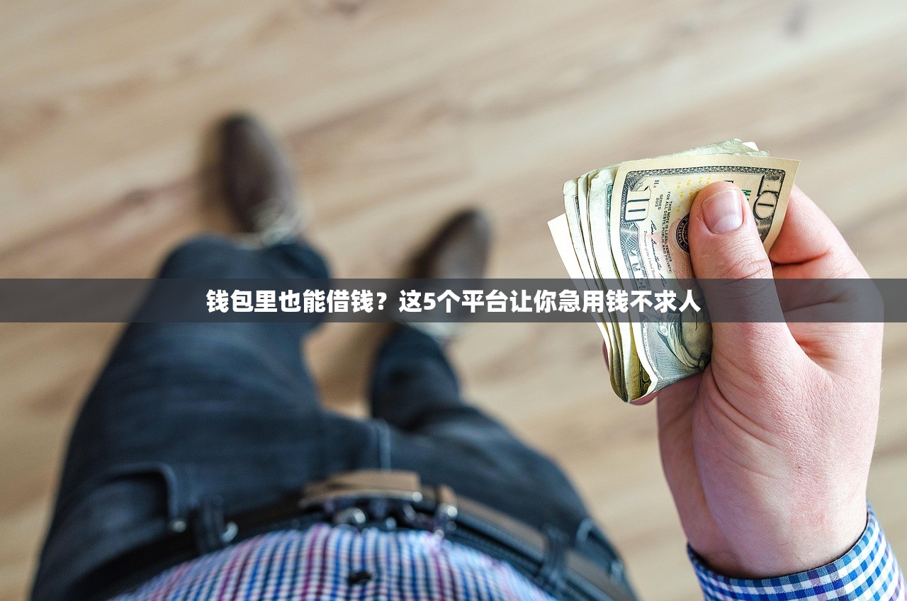 钱包里也能借钱?这5个平台让你急用钱不求人 钱包里也能借钱?这5个平台让你急用钱不求人