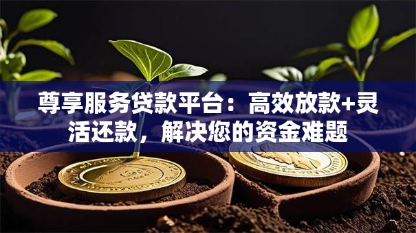 尊享服务贷款平台：高效放款+灵活还款，解决您的资金难题