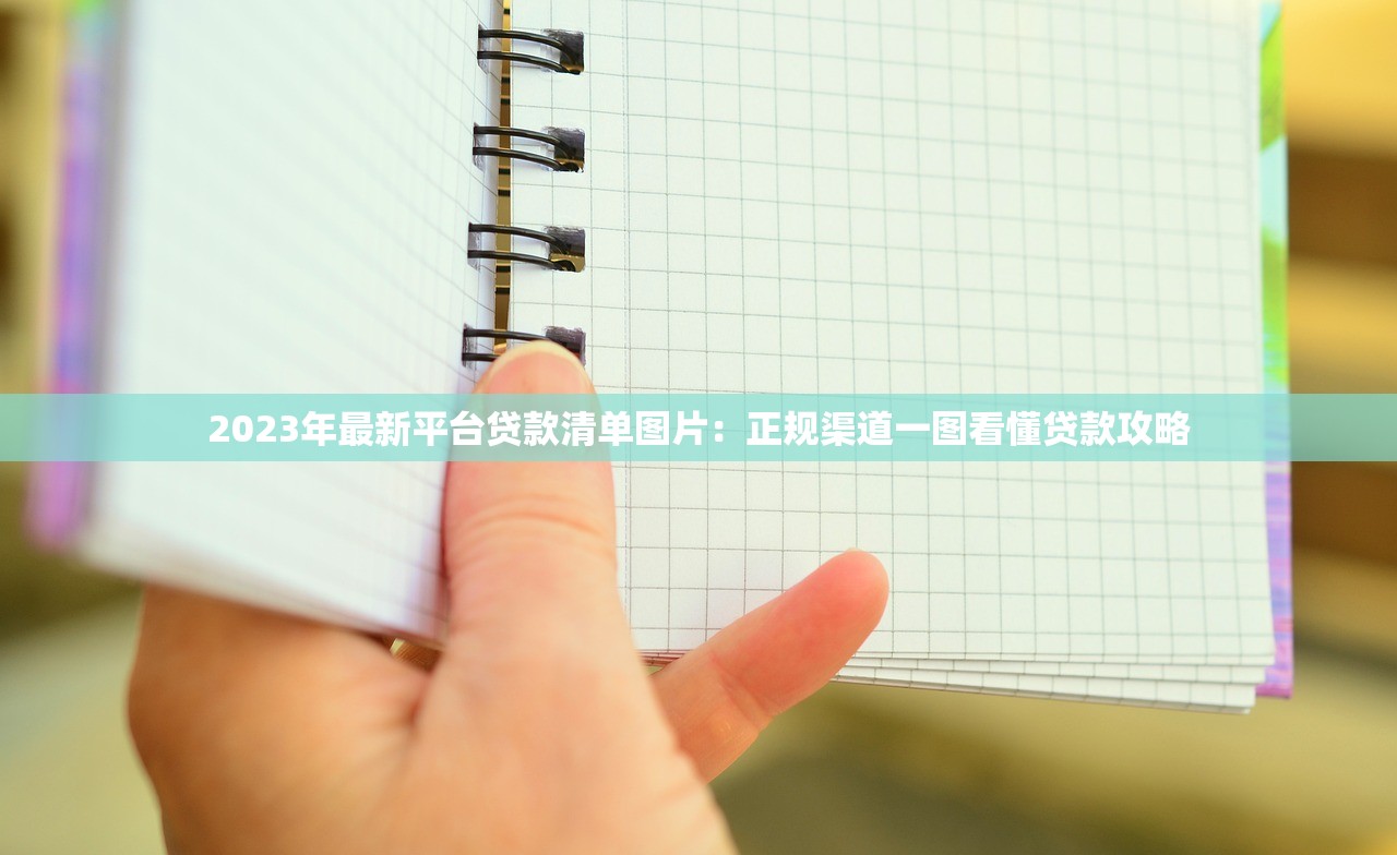 2023年最新平台贷款清单图片：正规渠道一图看懂贷款攻略
