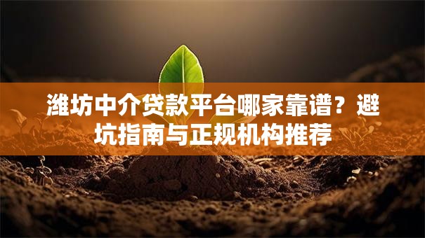 潍坊中介贷款平台哪家靠谱？避坑指南与正规机构推荐