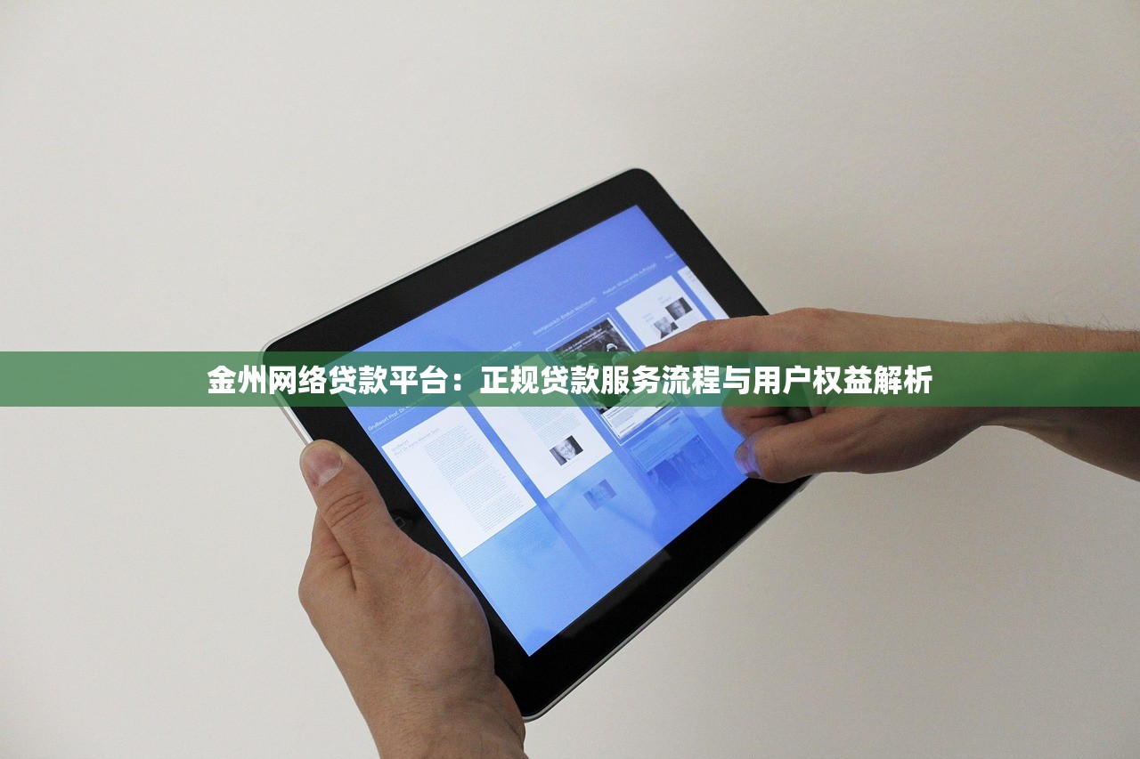 金州网络贷款平台:正规贷款服务流程与用户权益解析 金州网络贷款平台:正规贷款服务流程与用户权益解析