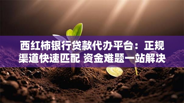 西红柿银行贷款代办平台：正规渠道快速匹配 资金难题一站解决